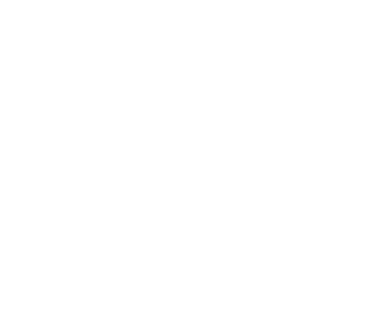 Macro Advisors Pte Ltd